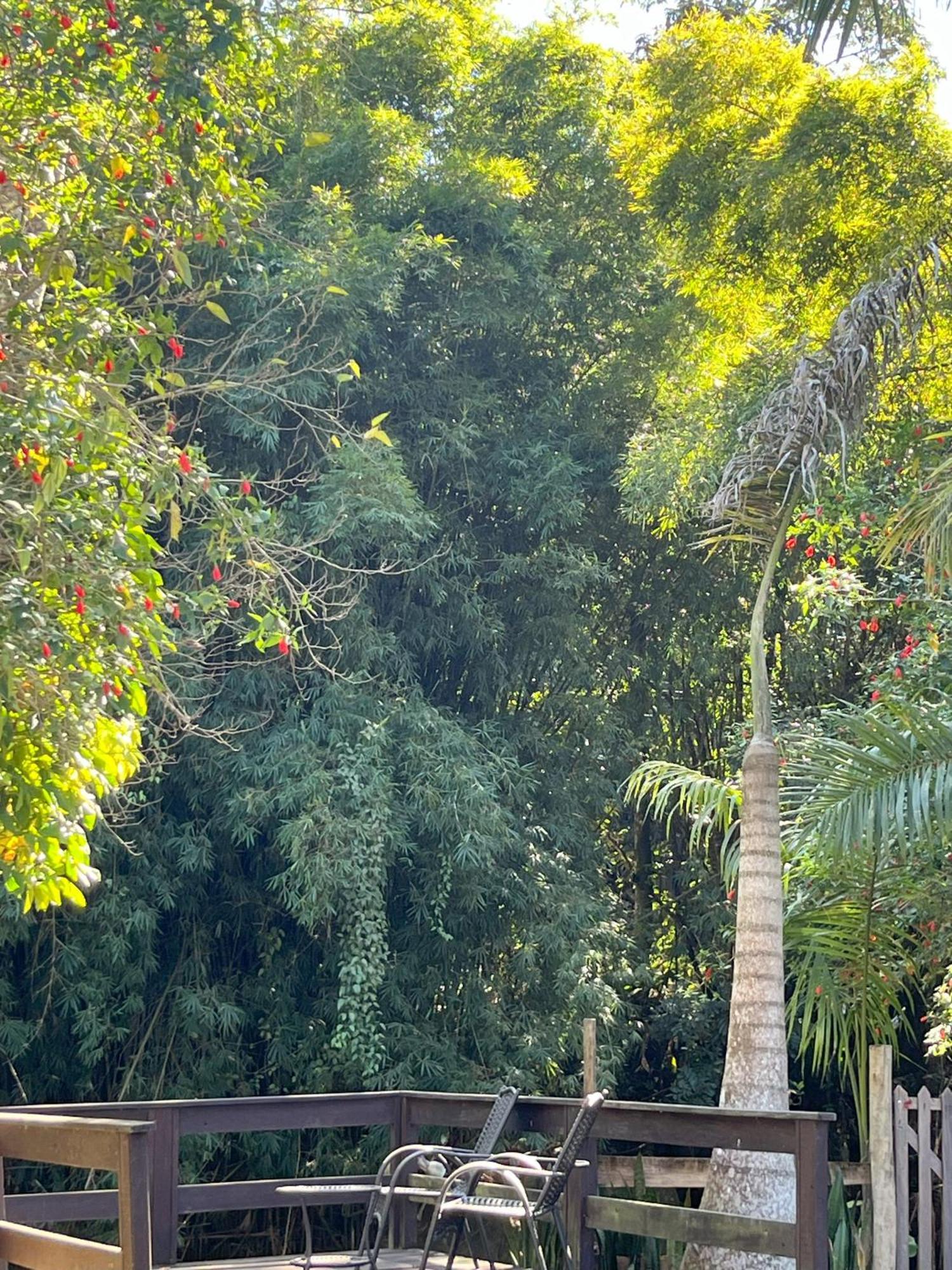 Casa Di Maria 4 Quartos A 500M Centro - Sauna, Piscina, Fogao A Lenha, Churrasqueira - Acesso Privativo Ao Ao Rio - Ideal Para Familias Nova Friburgo Extérieur photo
